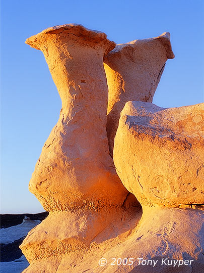Bisti Sculpture