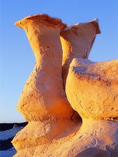 Bisti Sculpture