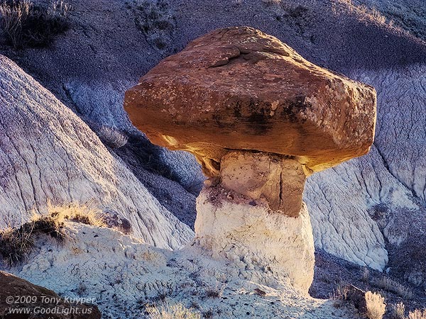 Desert Mushroom