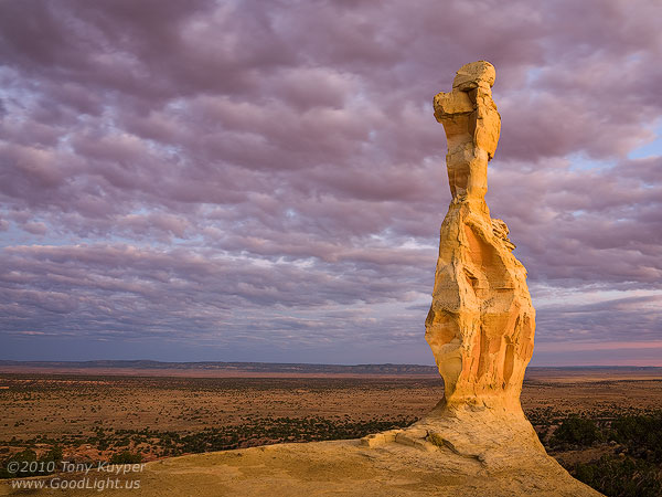 Poodle Rock