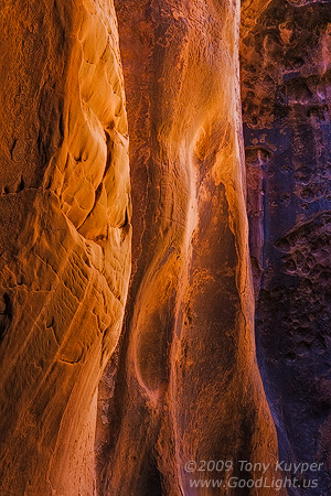 Wall Detail, Buckskin Gulch