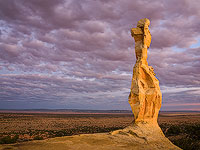 Poodle Rock