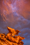 Raptor, Storm, Sunset