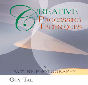 Creative Processing Techniques-Guy Tal