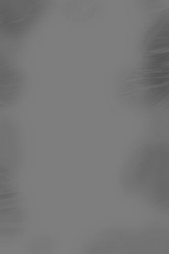 burn/dodge layer for edge-burning