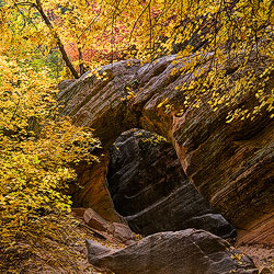 Hidden Arch download