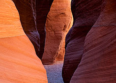 Wire Pass Cathedral download